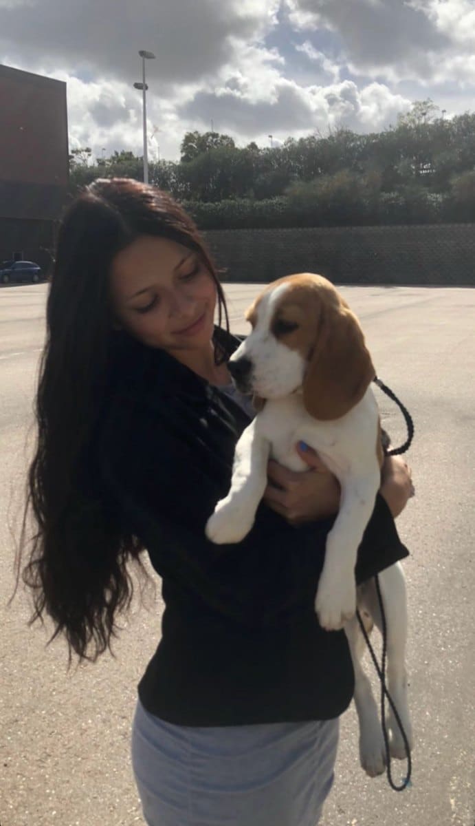 Familia con su cachorro Beagle de El Imperio Canino