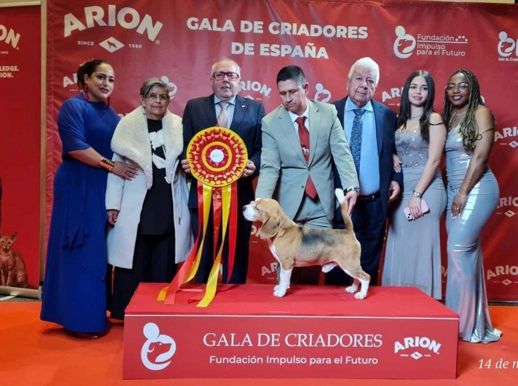 Ñu del Imperio Canino en exposición