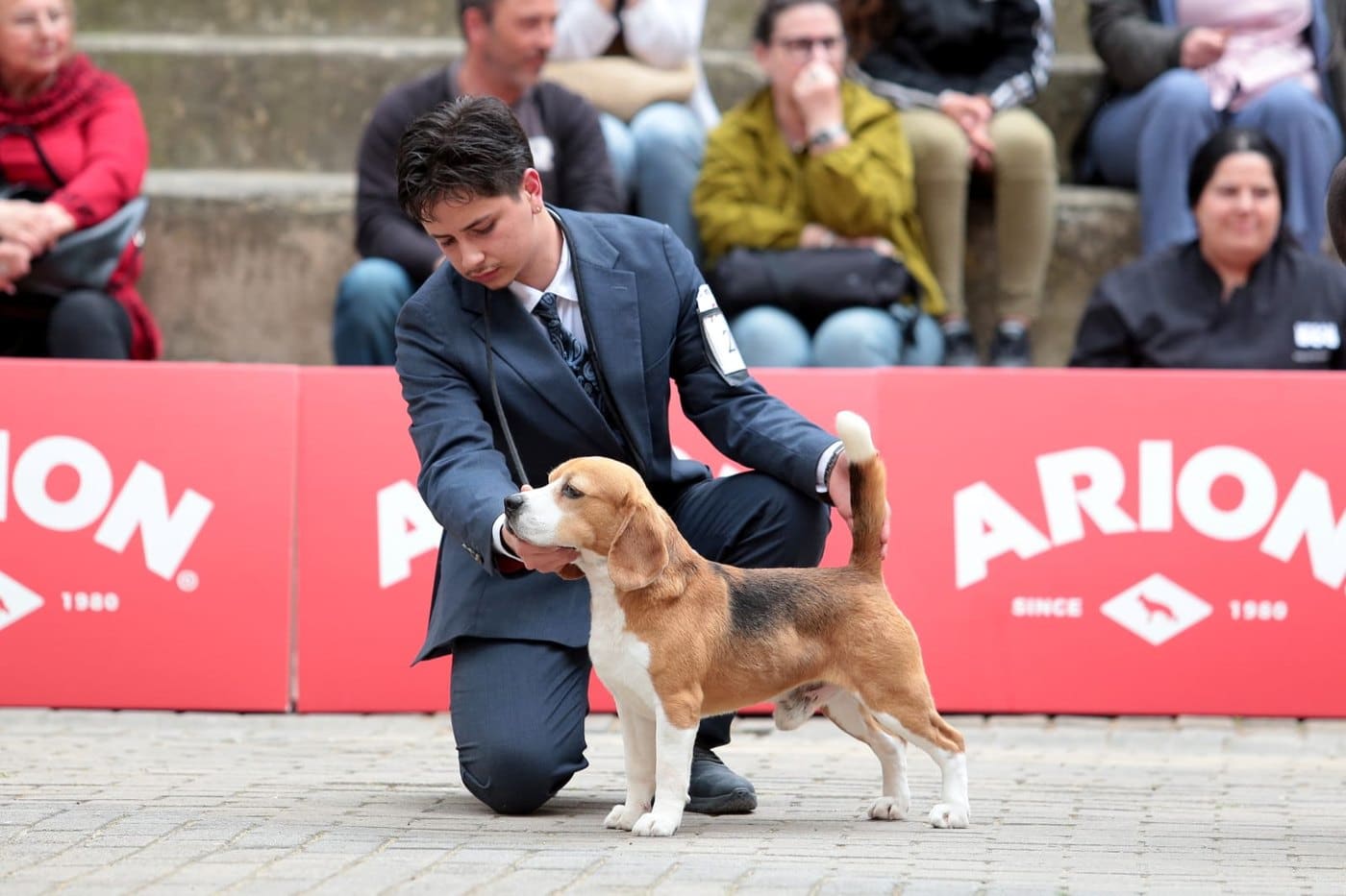 Ñu del Imperio Canino en exposición