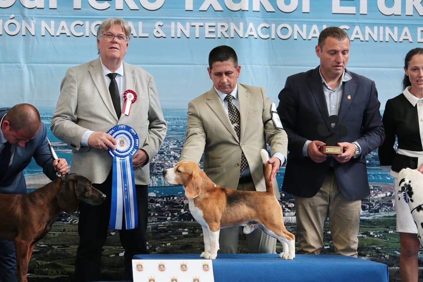Ñu del Imperio Canino en exposición