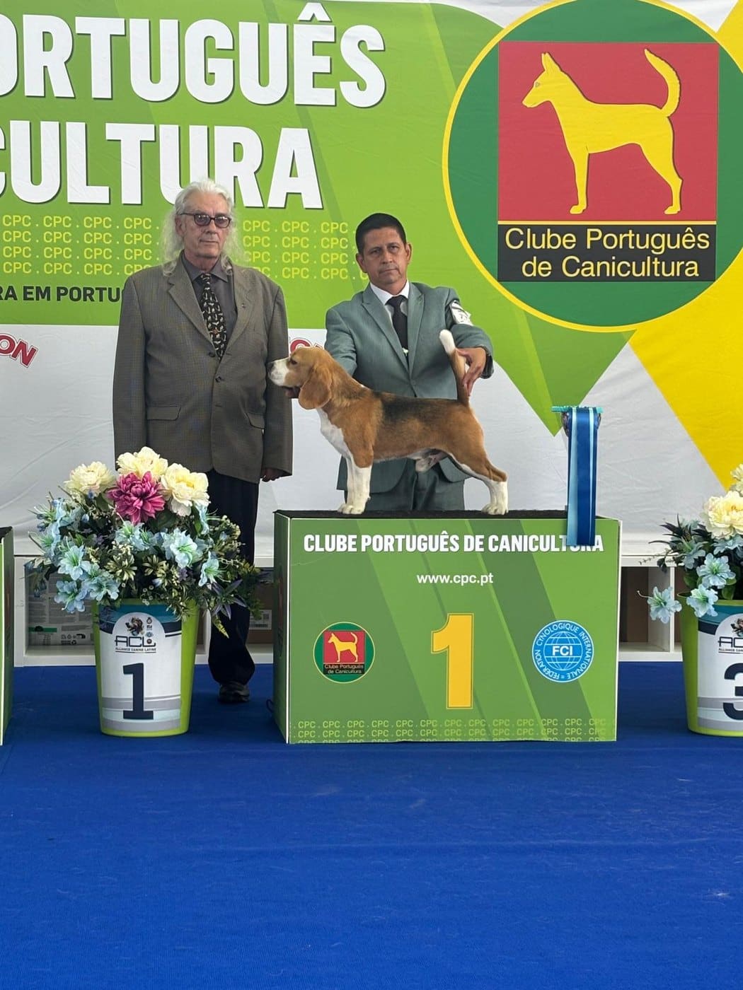 Ñu del Imperio Canino en exposición