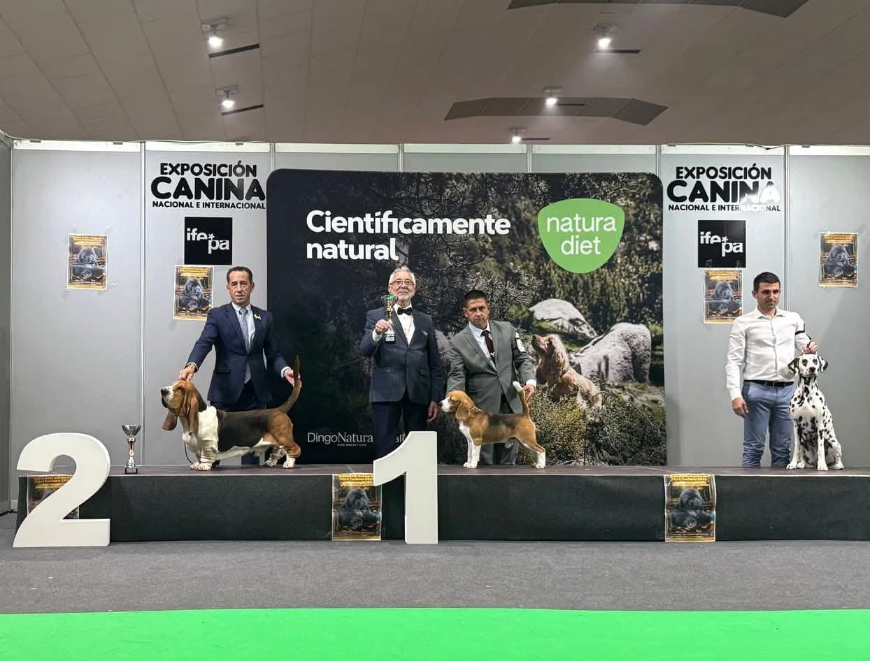 Ñu del Imperio Canino en exposición